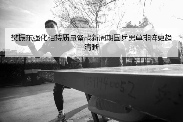 樊振东强化相持质量备战新周期国乒男单排阵更趋清晰